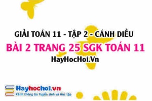 Bài 2 trang 25 Toán 11 tập 2 Cánh Diều